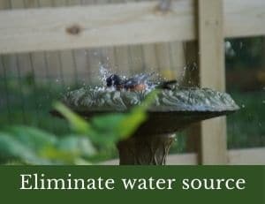 Eliminate water source