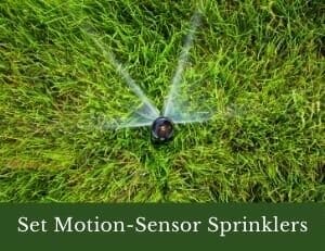 Set Motion-Sensor Sprinklers
