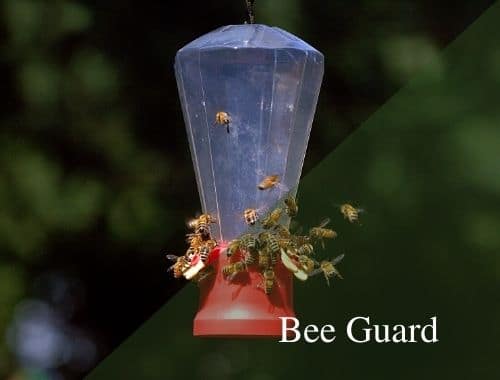 bee guard