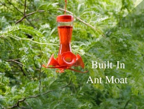 Built-in ant moat