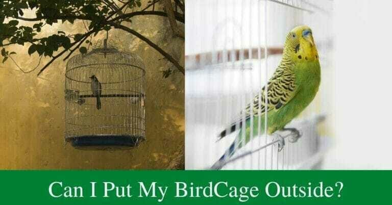 Can I put my bird cage outside?