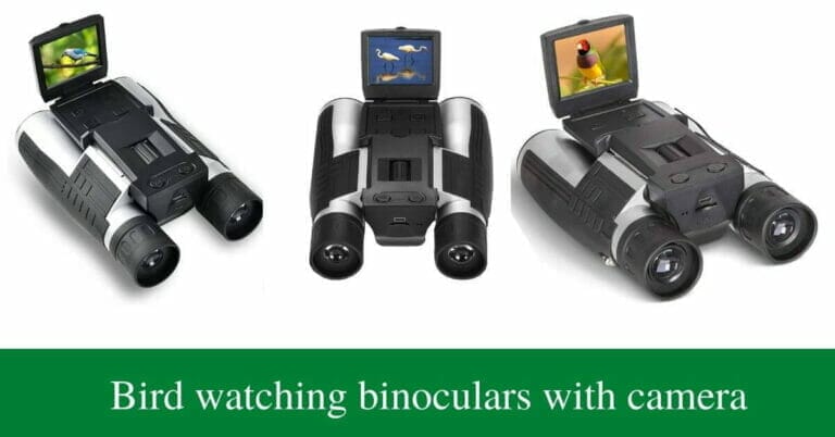 5 Best binoculars with camera for bird watching in 2022