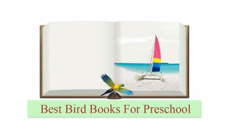 Best Bird Books For Preschool Kids In 2022