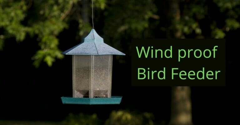 3 Best bird feeders for windy areas Reviews In 2022