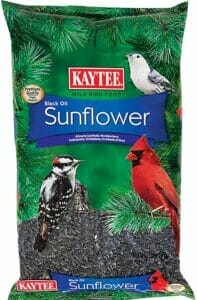 Kaytee Wild Bird Food Black oil Sunflower