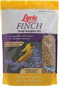 Lyric 2647469 Finch Small Songbird Wild Bird Mix