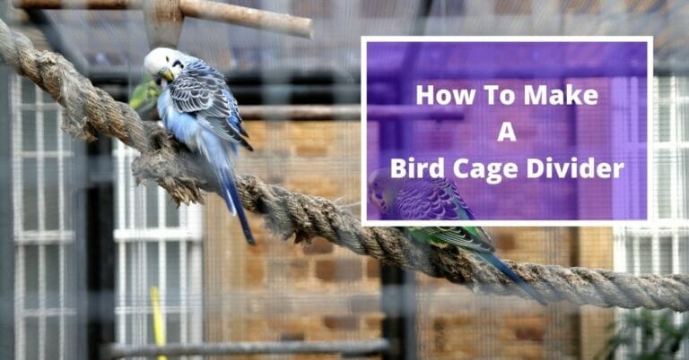 How To Make A Bird Cage Divider?