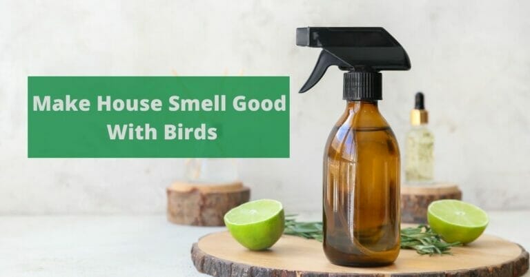 How To Make House Smell Good With Birds?