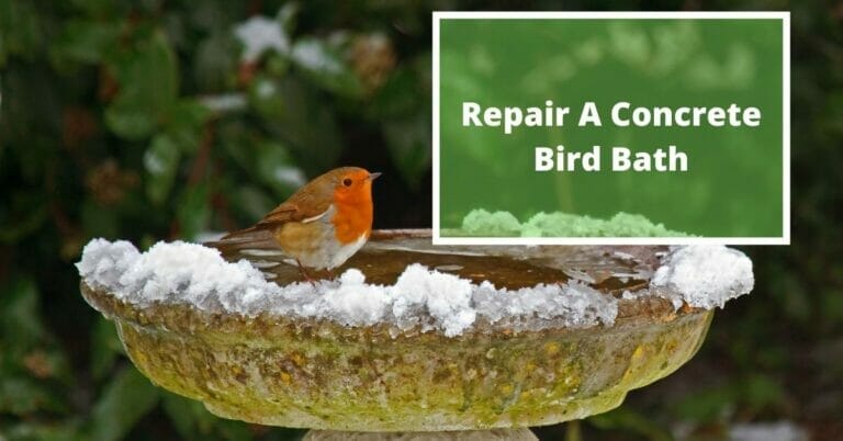 How To Repair A Concrete Bird Bath?