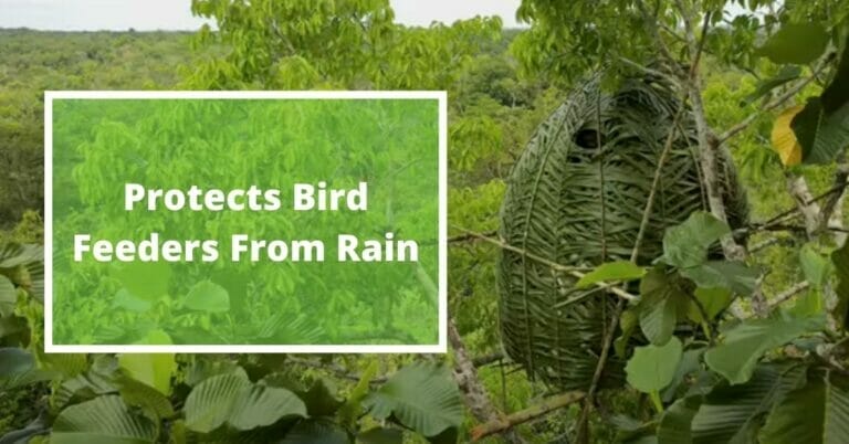 How To Build A Blind For Bird Photography