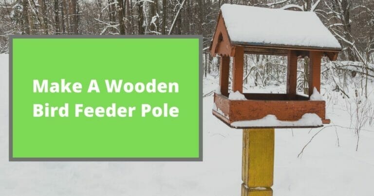 How To Make A Wooden Bird Feeder Pole?